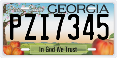 GA license plate PZI7345