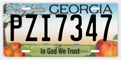 GA license plate PZI7347