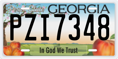 GA license plate PZI7348