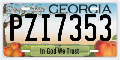 GA license plate PZI7353