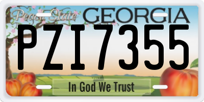GA license plate PZI7355
