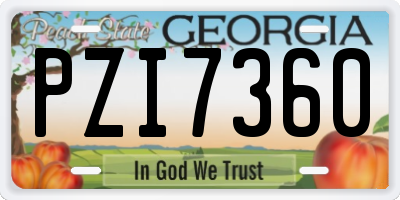GA license plate PZI7360