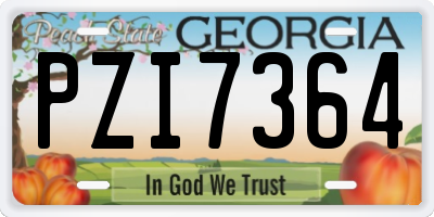 GA license plate PZI7364