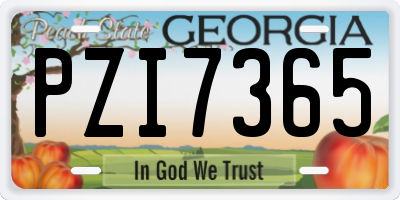 GA license plate PZI7365