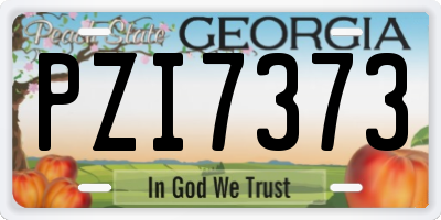 GA license plate PZI7373