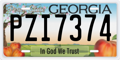 GA license plate PZI7374