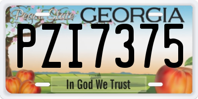 GA license plate PZI7375
