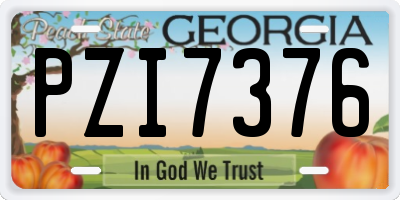 GA license plate PZI7376