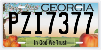GA license plate PZI7377