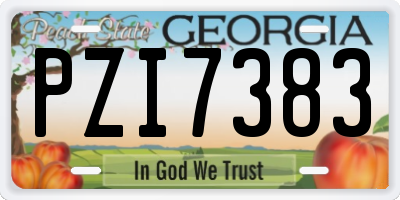 GA license plate PZI7383