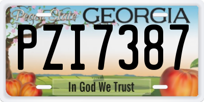 GA license plate PZI7387