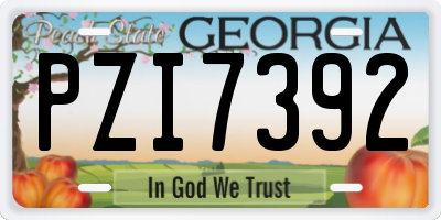 GA license plate PZI7392