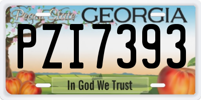 GA license plate PZI7393