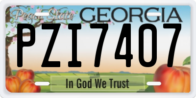 GA license plate PZI7407