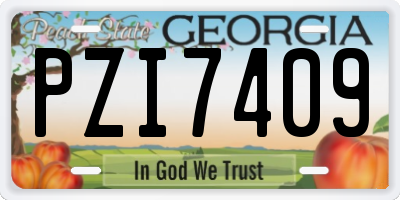 GA license plate PZI7409