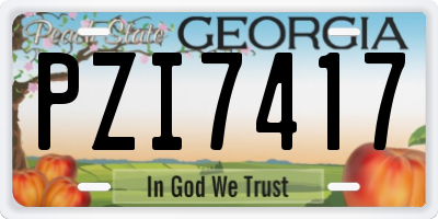GA license plate PZI7417