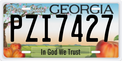 GA license plate PZI7427
