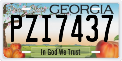 GA license plate PZI7437