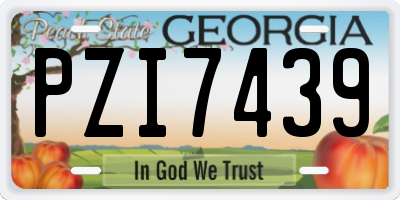 GA license plate PZI7439