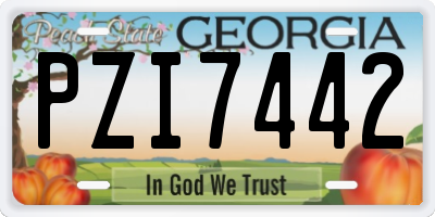 GA license plate PZI7442