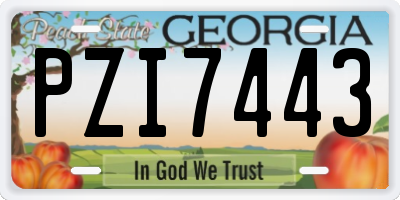 GA license plate PZI7443