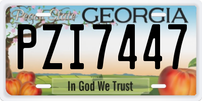 GA license plate PZI7447