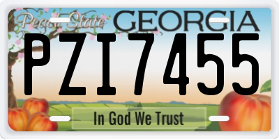 GA license plate PZI7455