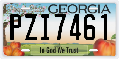 GA license plate PZI7461