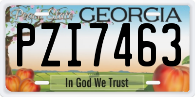 GA license plate PZI7463