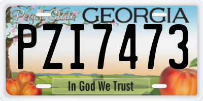 GA license plate PZI7473