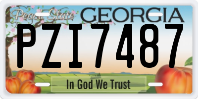 GA license plate PZI7487