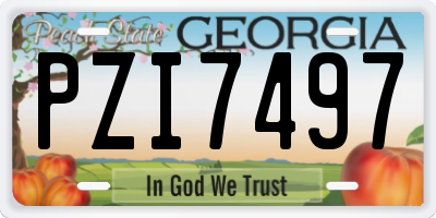 GA license plate PZI7497