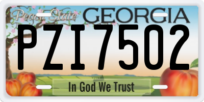 GA license plate PZI7502