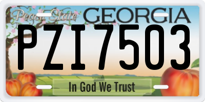 GA license plate PZI7503