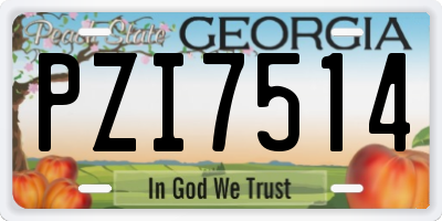 GA license plate PZI7514
