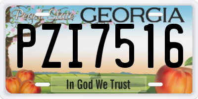 GA license plate PZI7516