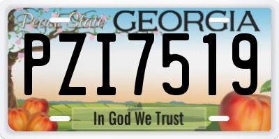 GA license plate PZI7519