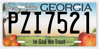 GA license plate PZI7521