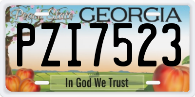 GA license plate PZI7523