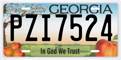 GA license plate PZI7524