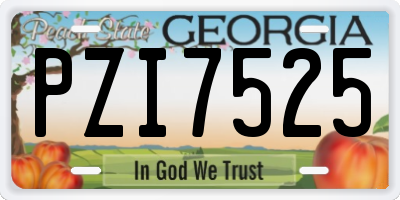 GA license plate PZI7525