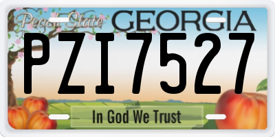 GA license plate PZI7527