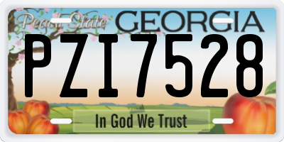 GA license plate PZI7528
