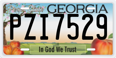 GA license plate PZI7529