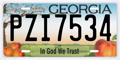 GA license plate PZI7534