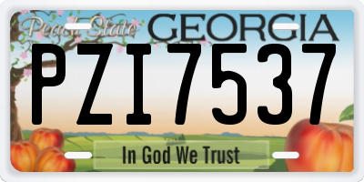 GA license plate PZI7537