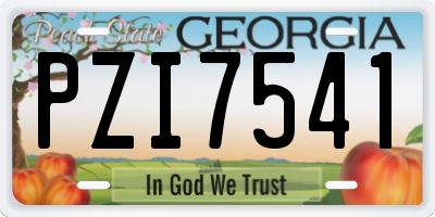 GA license plate PZI7541
