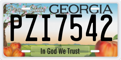 GA license plate PZI7542