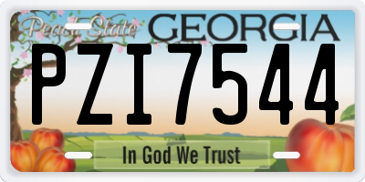 GA license plate PZI7544