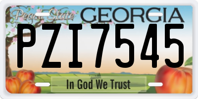 GA license plate PZI7545